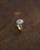 Reha Ring